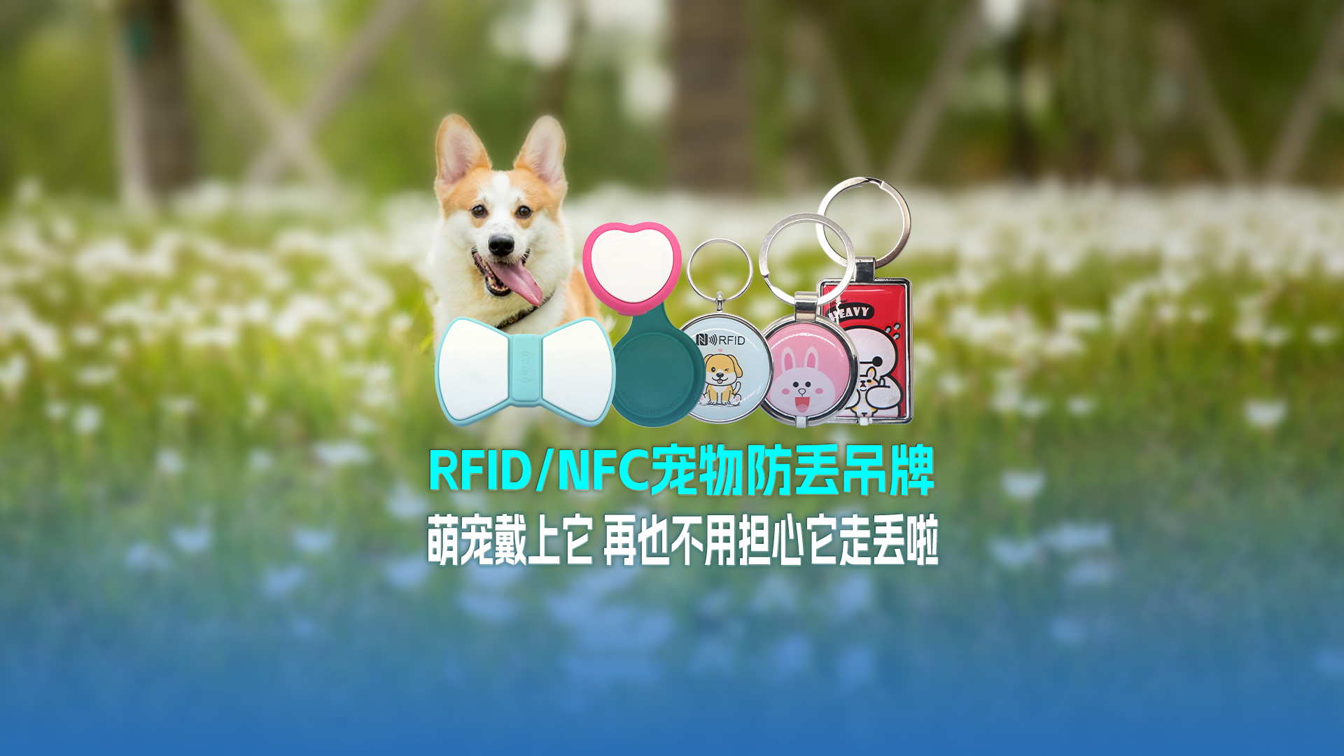 卡立方集團RFID寵物防丟吊牌：萌寵戴上它 再也不用擔(dān)心它走丟啦