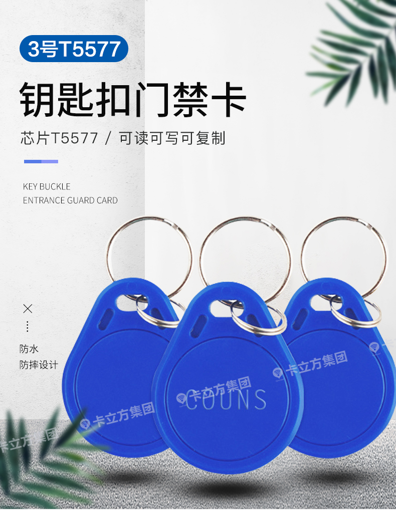3號(hào)T5577鑰匙扣1
